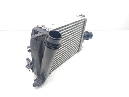 Intercooler DACIA SANDERO II [2012-2025]  16343862