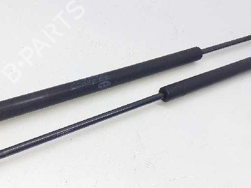 Used Tailgate lift support LAND ROVER FREELANDER 2 (L359) 2.2 TD4 4x4 (160 hp) 14307920