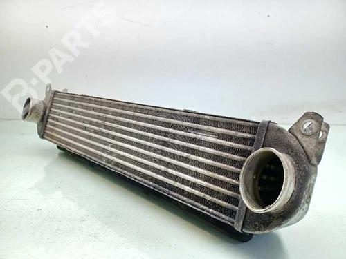 Intercooler LAND ROVER DISCOVERY III (L319) 2.7 TD 4x4 | BP11294445M30 