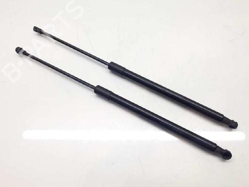 Used Tailgate lift support NISSAN QASHQAI / QASHQAI +2 I (J10, NJ10, JJ10E) 1.5 dCi (110 hp) 14307919