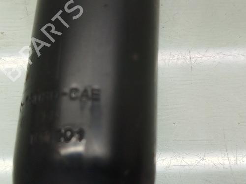 Right rear shock absorber FORD GRAND C-MAX (DXA/CB7, DXA/CEU) 1.6 TDCi | BP21147854M19 