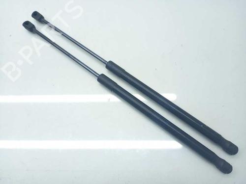 Used Tailgate lift support SKODA OCTAVIA II Combi (1Z5) 2.0 TDI 16V 4x4 (140 hp) 15097055