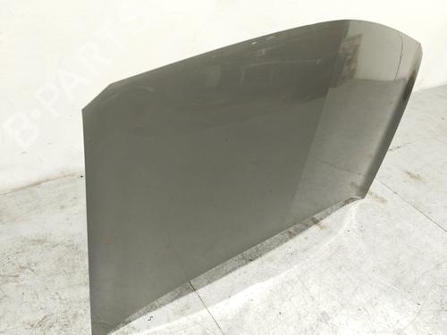 Hood RENAULT MEGANE II (BM0/1_, CM0/1_) 1.5 dCi (BM1F, CM1F) | BP21272210C1 