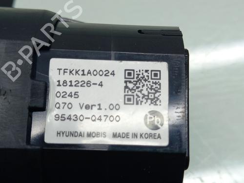 Ignition barrel KIA NIRO I (DE) E-NIRO | BP16244419M48 