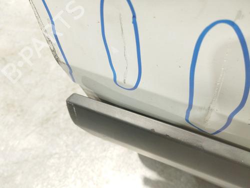 Right front door CITROËN JUMPY II (VF7) 1.6 HDi 90 16V | BP29544697C3 