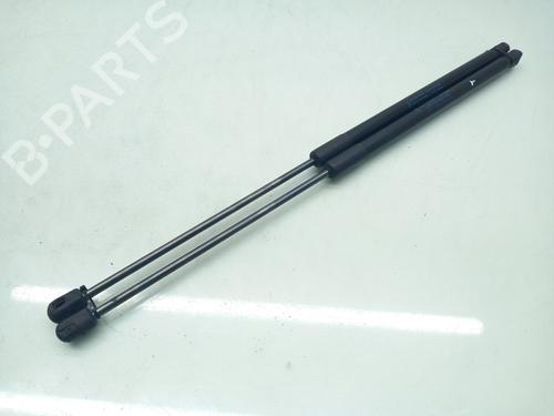 Tailgate lift support FORD FOCUS III 1.6 TDCi | BP17195587C138 