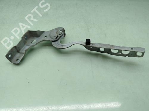 hingedoor-check-strap-citroen-c4-ii-nc_-2009-35800931 main image