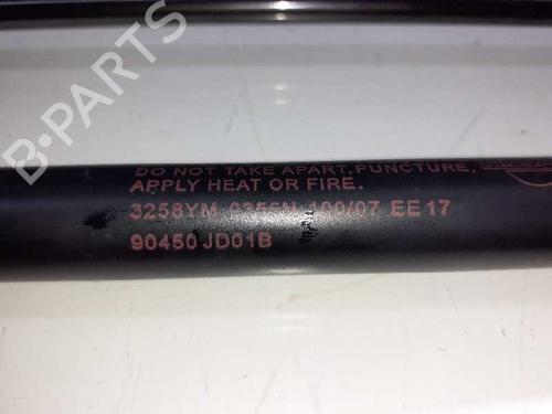Tailgate lift support NISSAN QASHQAI I (J10, NJ10) 2.0 | BP14307895C138 