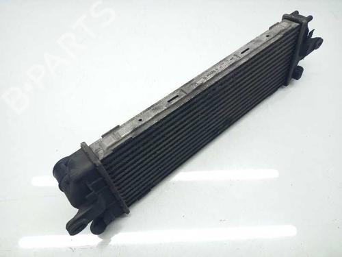 BP13086202M30 | Intercooler OPEL VIVARO A Bus (X83)  BP13086202M30