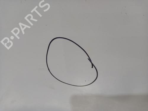 Right front door RENAULT SCÉNIC III (JZ0/1_) 1.6 dCi (JZ00, JZ12) | BP32240374C3