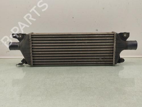 Intercooler FIAT SEDICI (189_) 2.0 D Multijet 4x4 | BP29154581M30 