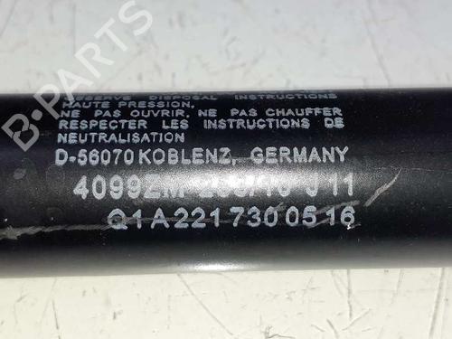 Right rear shock absorber MERCEDES-BENZ S-CLASS (W221, V221) S 350 BlueTec (221.026, 221.126) | BP15781186M19 