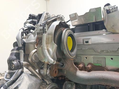 Engine SEAT LEON (KL1, KLG) 2.0 TDI | BP33855749M1 - Image 6