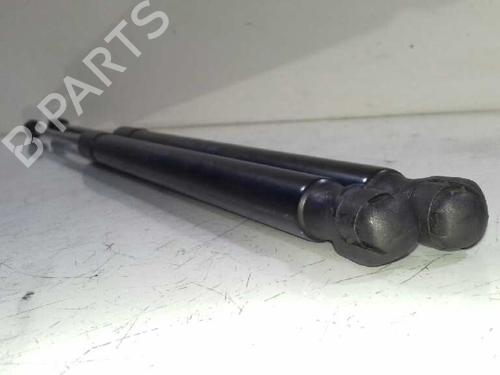 Tailgate lift support FORD FIESTA VI (CB1, CCN) 1.0 EcoBoost | BP14306933C138 