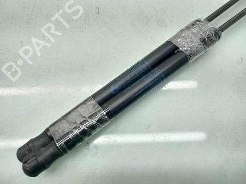 Tailgate lift support BMW 1 (E87) 118 i | BP14307625C138 