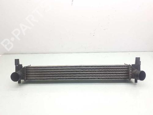 Used Intercooler SEAT IBIZA IV (6J5, 6P1) [2008-2017]  13236162