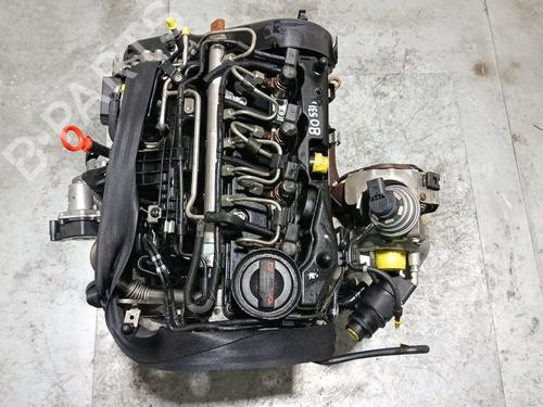 Engine VW GOLF VI (5K1) 1.6 TDI | BP32516442M1