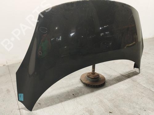 Hood RENAULT SCÉNIC III (JZ0/1_)  | BP18783960C1