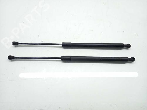 Tailgate lift support PEUGEOT 207 SW (WK_) 1.6 16V | BP14308659C138 
