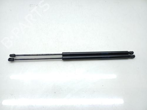 Tailgate lift support MERCEDES-BENZ VITO Tourer (W447) 114 CDI (447.701, 447.703, 447.705) | BP21533263C138 