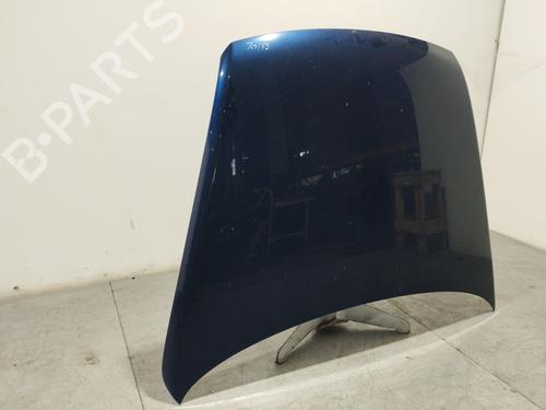 Hood VW TOUAREG (7LA, 7L6, 7L7)  | BP19395913C1 