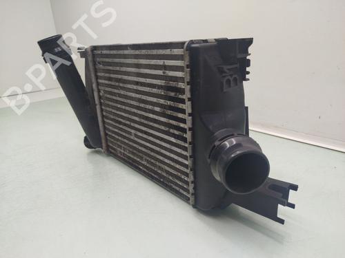 AC radiator DACIA DOKKER Express Box Body/MPV 1.5 dCi 75 / Blue dCi 75 (FEJW, FEAH) | BP24507973M32 