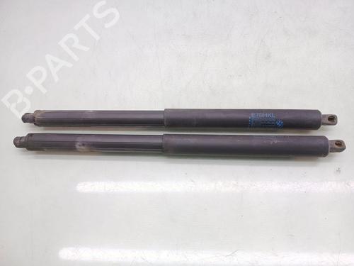 tailgate-lift-support-bmw-x5-e70-2006-2007-2008-2009-2010-2011-2012-2013-32745017 main image