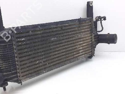 Intercooler NISSAN NP300 NAVARA (D40) 2.5 dCi 4WD (D40TT, D40T, D40M, D40BB) (190 hp) 7518288