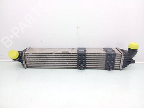 Used Intercooler Intercooler RENAULT LAGUNA Coupe (DT0/1) 3.0 dCi (DT03) (235 hp) 40106732 40106732