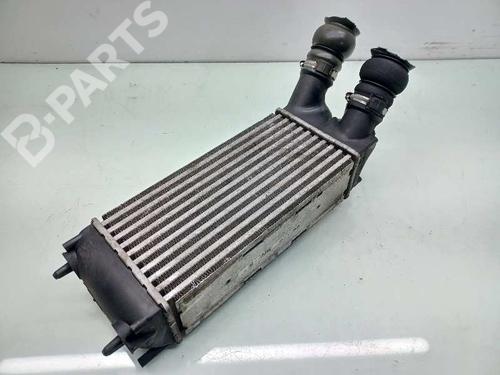 Intercooler CITROËN BERLINGO MULTISPACE (B9)  | BP10969365M30 