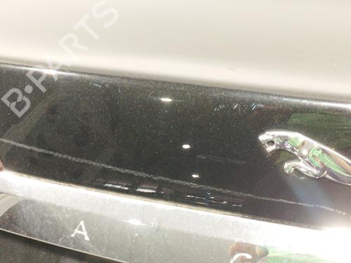 Tailgate JAGUAR XF I (X250) 2.7 D | BP18651272C6 