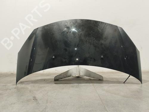 Used Hood CITROËN C3 II (SC_) 1.4 VTi 95 (95 hp) 30748134
