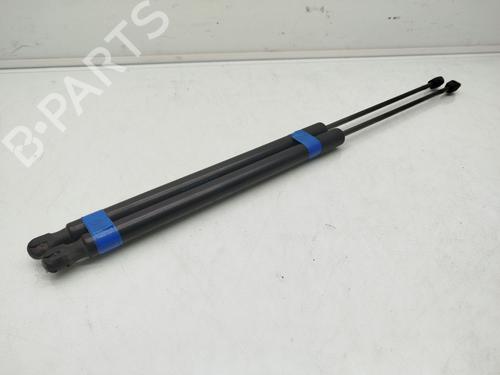 Tailgate lift support FORD KUGA I 2.0 TDCi 1729322 | 8B41S406A10AF | 664184