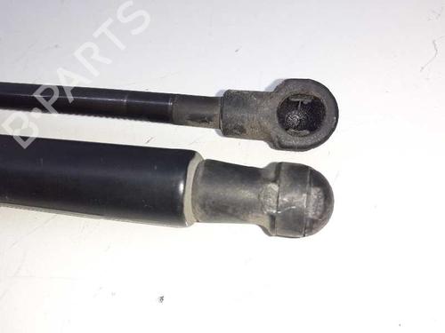 Tailgate lift support NISSAN QASHQAI I (J10, NJ10) 2.0 | BP14307895C138 