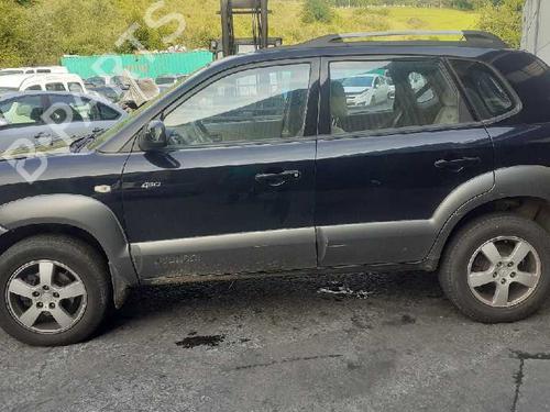 Right mirror HYUNDAI TUCSON (JM) 2.0 CRDi All-wheel Drive | BP16488897C27 