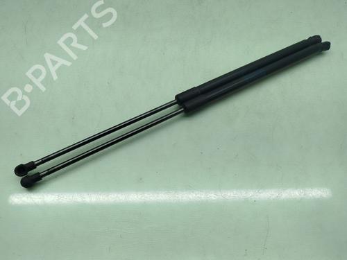 Tailgate lift support SEAT IBIZA IV (6J5, 6P1) 1.6 TDI | BP29308572C138 