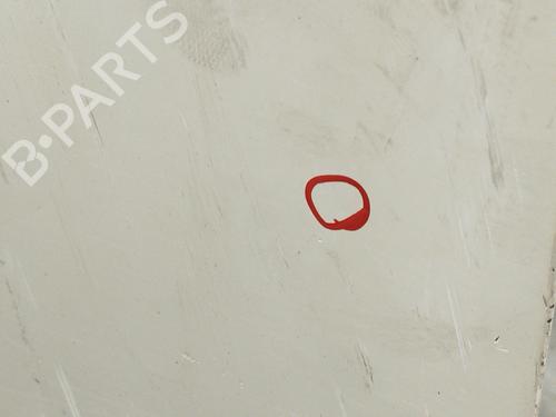 Left front door NISSAN PATHFINDER III (R51) 2.5 dCi 4WD | BP24058830C2 