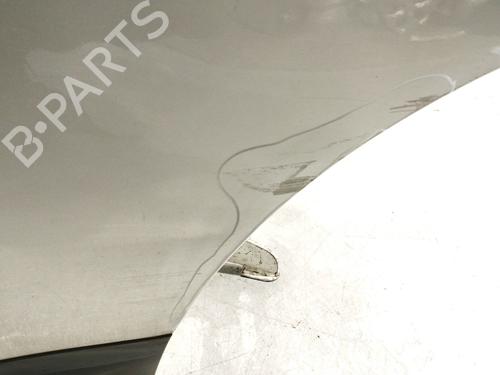 Left rear door NISSAN QASHQAI / QASHQAI +2 I (J10, NJ10, JJ10E) 1.5 dCi | BP28127885C4 