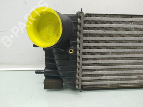 Intercooler NISSAN JUKE (F15) 1.6 DIG-T 4x4 | BP23958307M30 