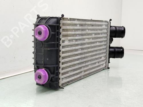Intercooler CITROËN C4 III (BA_, BB_, BC_) 1.5 BlueHDi 130 (BBYHZB) | BP38301984M30 - Image 2