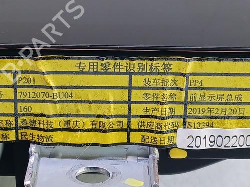 Display monitor PEUGEOT LANDTREK 1.9 All-wheel Drive | BP29250910C48 