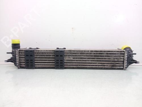 Intercooler RENAULT LAGUNA Coupe (DT0/1) 3.0 dCi (DT03) | BP40106732M30 - Image 4