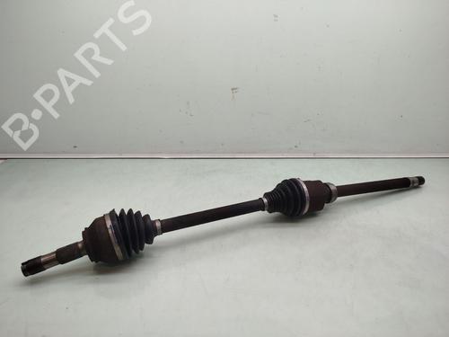 BP31646656M39 main image