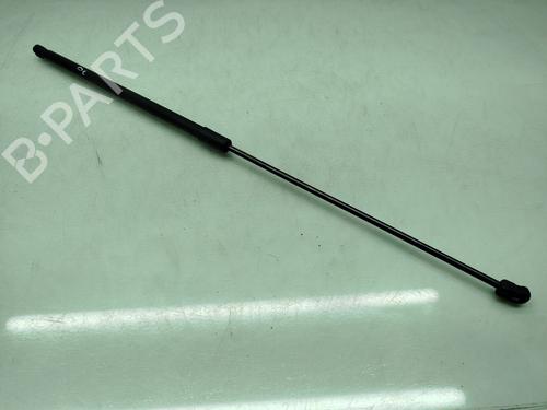 Hood lift support VW GOLF VII (5G1, BQ1, BE1, BE2) 2.0 GTI | BP23425382C139 