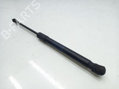 Used Hood lift support VW CADDY III Box Body/MPV (2KA, 2KH, 2CA, 2CH) 1.6 TDI (75 hp) 22981112