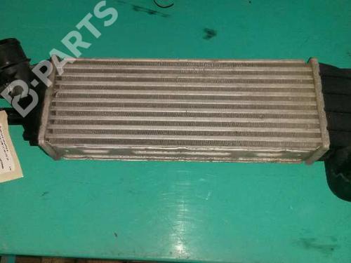 BP1315380M30 | Intercooler FIAT ULYSSE (179_) 2.2 JTD BP1315380M30