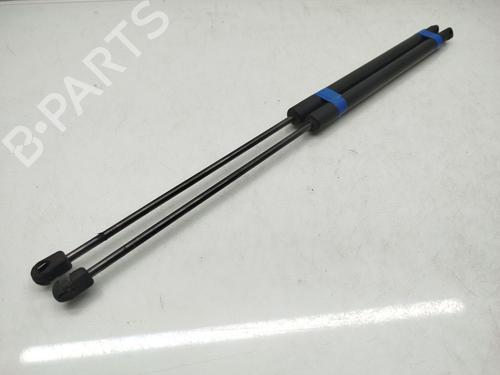 Tailgate lift support FORD KUGA I 2.0 TDCi | BP18603691C138 