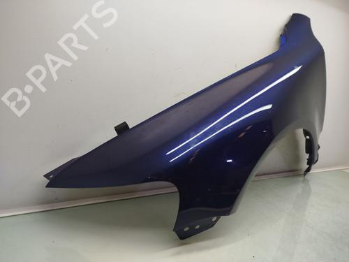Left front fenders VW TOUAREG (7LA, 7L6, 7L7)  | BP21027056C41 