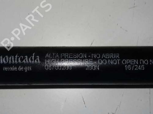 Hood lift support AUDI A6 C6 (4F2) 3.2 FSI quattro | BP14306783C139