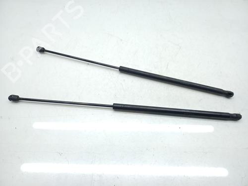 Used Hood lift support MERCEDES-BENZ CLS (C219) CLS 350 (219.356) (272 hp) 16346242